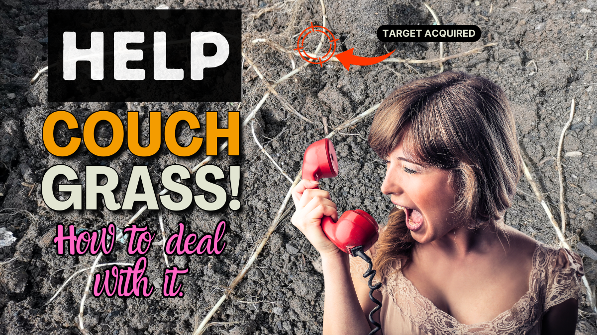 Couch grass removal and identify Veggie Patch Ideas