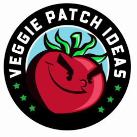 Veggie Patch Ideas