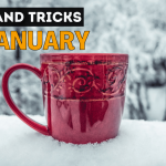 What I'm sowing in January