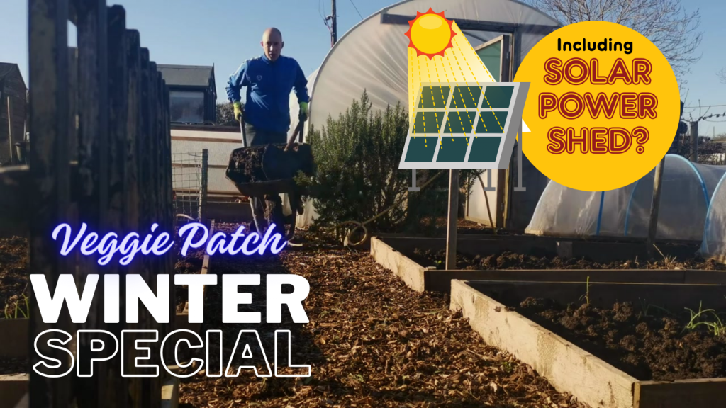 gardening jobs for winter