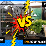 Comparing the Pros & Cons of: Polytunnels, Greenhouses and Low tunnels