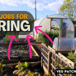 allotment jobs for spring