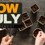 what to sow in July