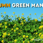 autumn green manure