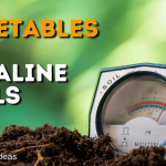 Vegetables for Alkaline Soils