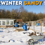 Overwinter Sandy Soil