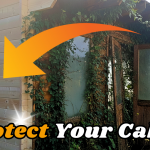 protect your cabin