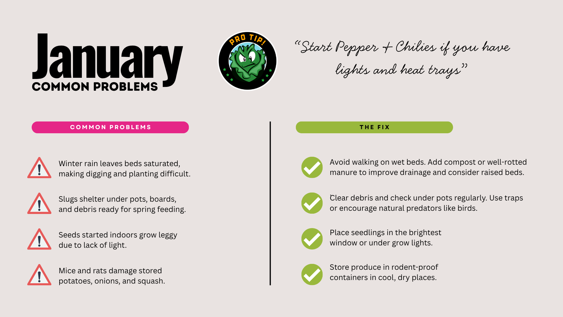 Vegetable Garden Planner & Diary (Download) - Image 5