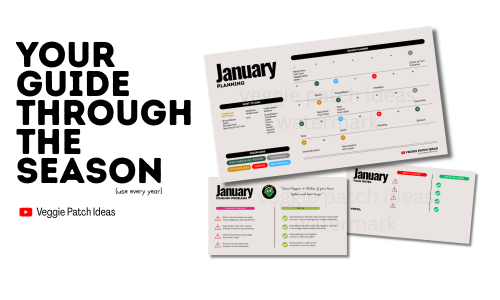 Vegetable Garden Planner & Diary (Download) - Image 2